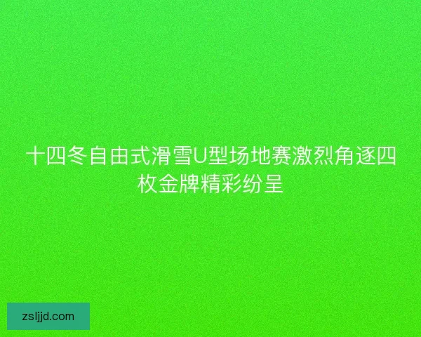十四冬自由式滑雪U型场地赛激烈角逐四枚金牌精彩纷呈